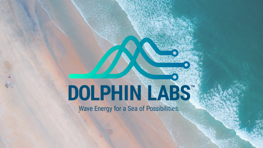 NSIN Alumni Spotlight: Dolphin Labs